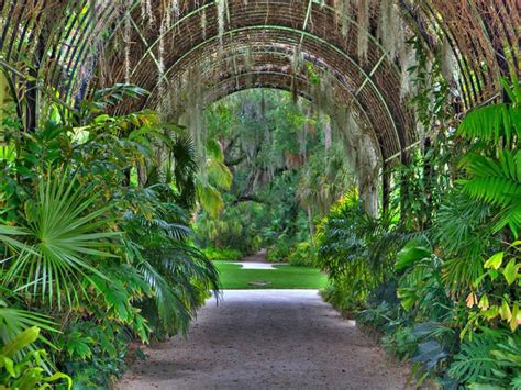 Mckee gardens vero beach - 3. Stroll through the McKee Botanical Garden in Vero Beach. Enter the enchanting world of McKee Botanical Garden in Vero Beach, FL, listed on the National Register of Historic Places. It is home to over 10,000 plants in its 18-acre (7 hectares) tropical hammock!